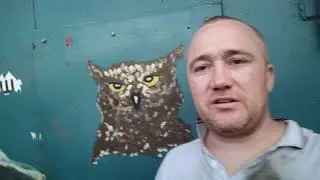 Реставрация вито 638 ч3