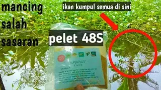 MANCING PAKE PELET 48S MALAH DAPET IKAN INI....!! ( PELET MANTAP )