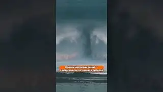Больше фактов найдёшь в телеграм, ссылка в комментариях ✅ 
