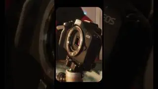 The Canon camera you don’t know about 