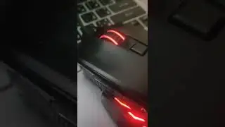 1 year with reddragons best gaming mouse review ＼(°o°)／