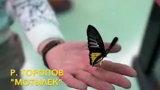 Р. Торопов. "МОТЫЛЕК". Аудиокнига. Читает В. Дейко
