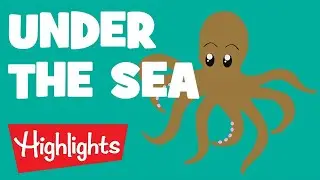 Sea Creatures | 2020 | Compilation | Highlights Kids