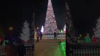 Christmas Is Here!