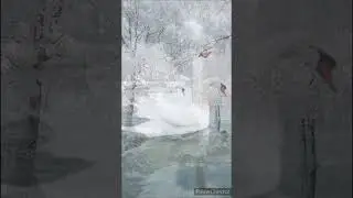ЗИМА