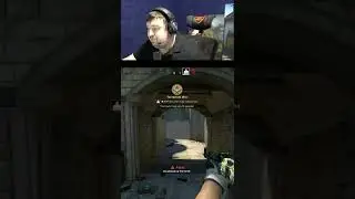 Дося профессионал