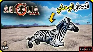 انيمليا سرفايفل | حياة الحمار الوحشي Animalia survival (24#)