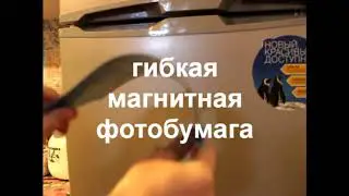фотомагнит на холодильник