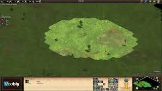 Voobly AOE2 1.6: Arena, Slavs vs Spanish