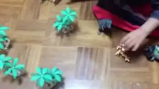 Pitibul