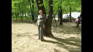Влог: Стирка / Окна /  Цветы /  Стихи о любви