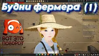 Black Desert. Shai. Шай.  Будни Фермера (1). Опробую новый костюм