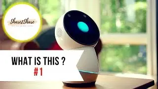 Is That A Social Robot ?! | What Is This #1