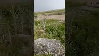 Сел. Бүйен өзені 2 - бөлім