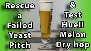 Rescued a non-fermenting lager and tested Huell Melon as a dry hop.