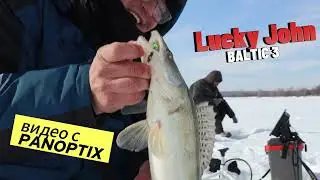 Судак на балансир BALTIC 3. Panoptix