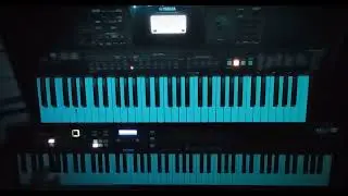 Rammstein - Mein Herz Brennt Keyboard Cover