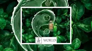 Презентация возможностей FM WORLD Россия