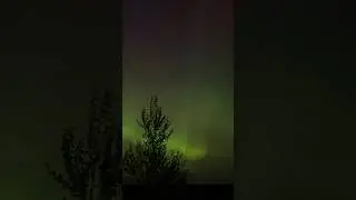 NORTHERN LIGHTS OVER NORTH DAKOTA #NorthernLights #NorthDakota #Shorts
