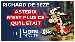 65 ans d'Astérix : quand le gaulois avait encore du panache - Richard de Seze