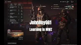 Learning in the MWZ