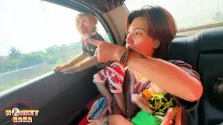 Monkey Kaka + Mit and family go back to hometown to visit grandma