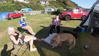 Summer fun camping at the seaside with two Labradors and a pair of teens