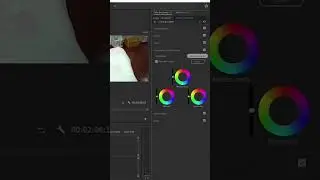 COPIA el ETALONAJE del VÍDEO que MAS te guste