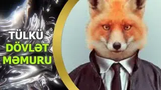 anekdot / hiyləgər məmurun yeni kələyi / mirt letife / gulmeli