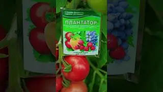 Комплексне мінеральне добриво Плантатор Дозрівання плодів 5.15.45 - застосування