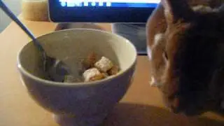 Me & Caramel eating cereals