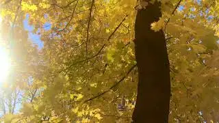 Деньги идут в руки, если делаешь это!