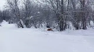 Не понятно кто 7 февраля 2023