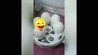 How to use egg steaming Device 