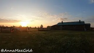 morning exercise