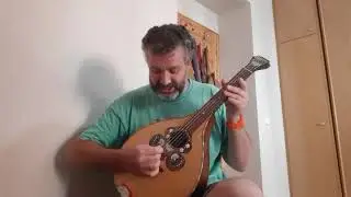 Waldzither (traditional tuning)