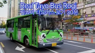 귀요미 타요버스 30분영상 Cute Tayo Bus 30Minutes #korea