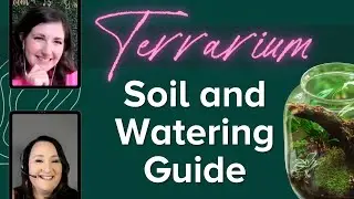 How to Set Up a Terrarium // Tips for Soil Layers and Watering