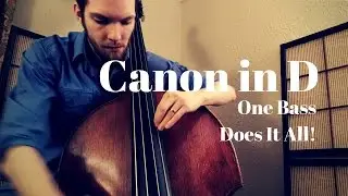 Canon in D - One Bass Does It All! | feat. Double Bass, Beatboxing, and Live Looping