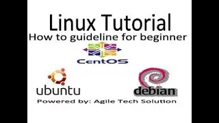 Linux file system hierarchy and working with directory like pwd, cd, ls