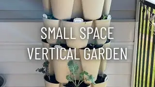 Small Space Vertical Garden | GreenStalk Vertical Planter Set-Up