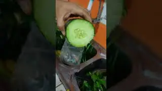 Conversando sobre la salud del sistema