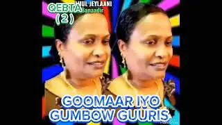 GOOMAAR IYO GUMBOW GUURIS QEBTA ( 2 ) LUUL JEYLAANI