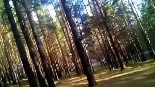 Лёха и Ворона.