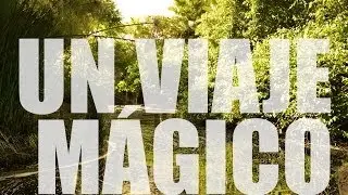 Un viaje mágico [Puebla]