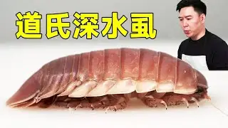 Try to eat Dow's deep water lice. I didn't want the house when I broke my stomach. I died after I c