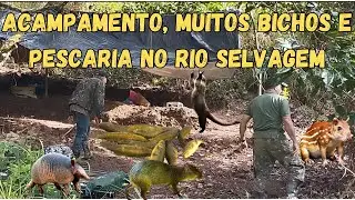 ACAMPAMENTO, MUITOS BICHOS E PESCARIA NO RIO SELVAGEM