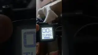 6 октября 2023 г.