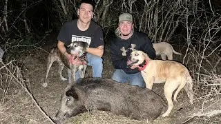Hog Hunting With Dogs (3 Kill Shots)