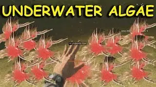Dying Light - Where to Find Underwater Algae
